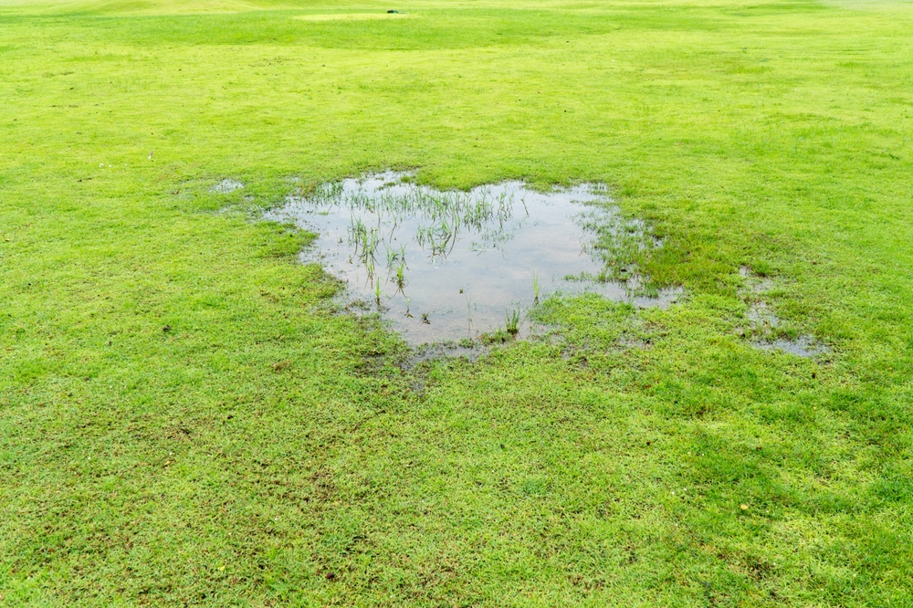 Top 5 Signs Your Property Has Drainage Issues in Pensacola