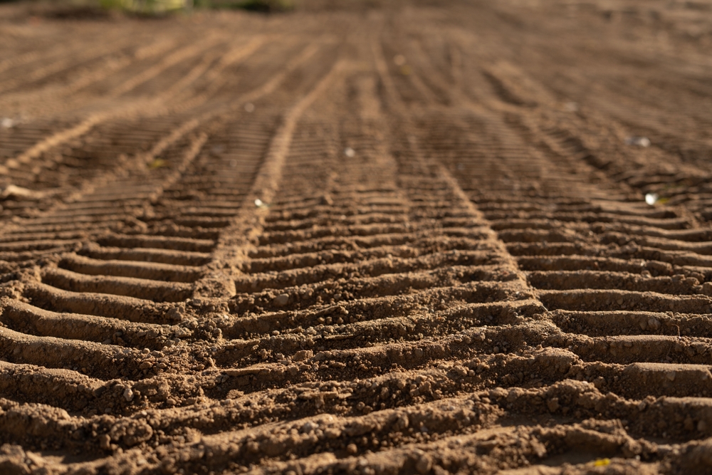 The Importance of Proper Land Grading in Preventing Water Damage