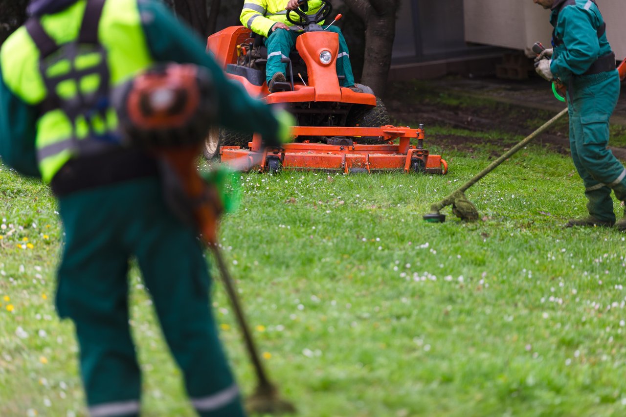Seasonal Landscaping Tips: What to Plant and When in Pensacola